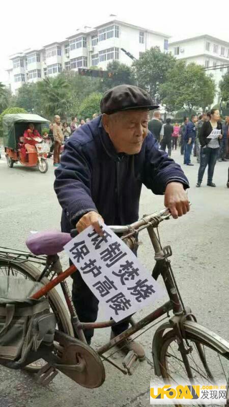 高陵游行真相内幕:关于高陵游行的新闻报道!