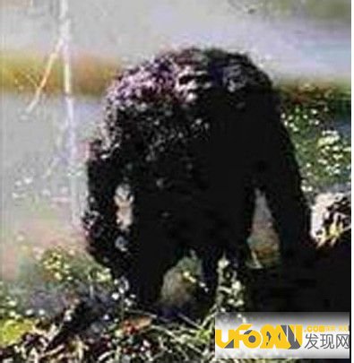 你绝对没听过的中国被封杀的惊天秘密!