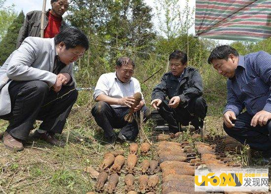惊呆古墓惊魂秒杀灵异事件