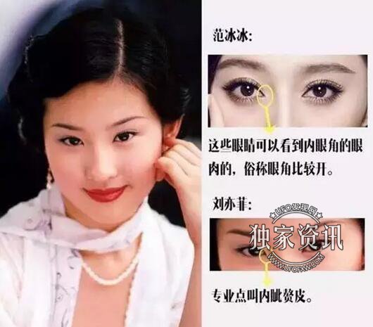 刘亦菲资料图
