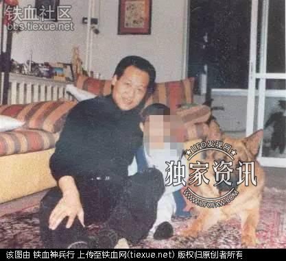 刘亦菲摆脱陈金飞了吗