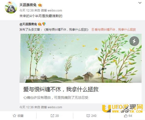 马蓉求王宝强复婚