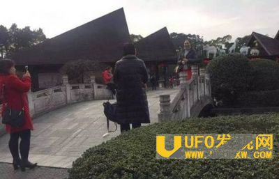 老虎咬人事件怎么赔偿