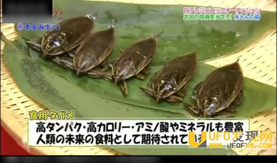 日本人竟这样玩学生妹资料图