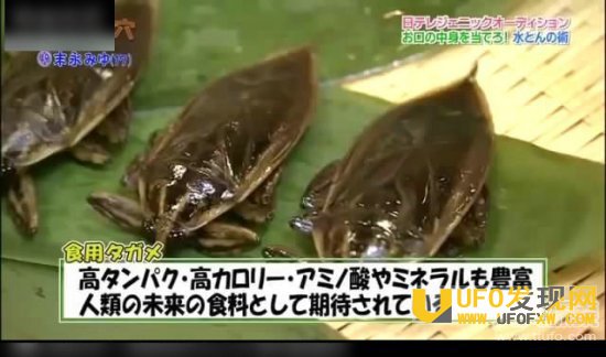 日本人竟这样玩学生妹资料图