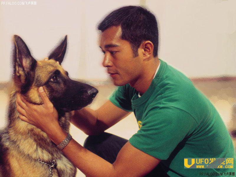 ������Ϊʲô�����