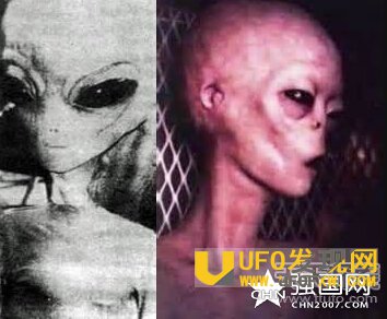 相关网络配图