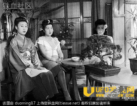慰安妇一天安排多少人