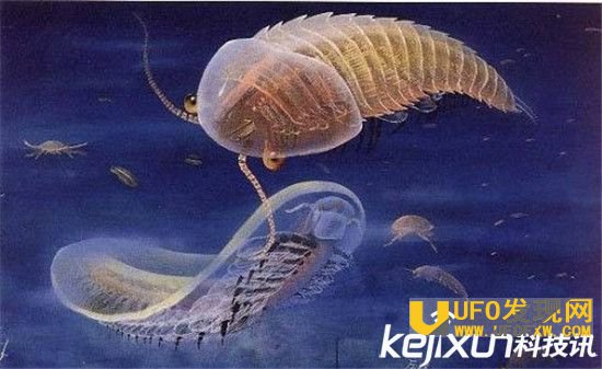 人类其实就是外星人