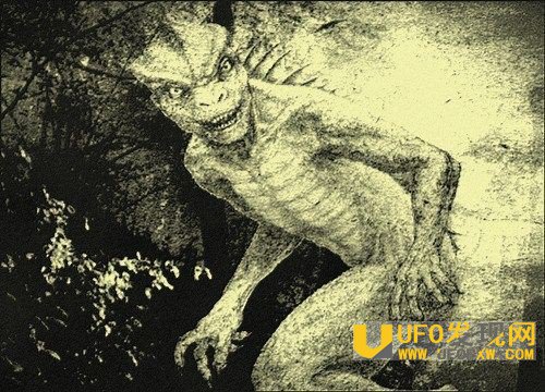 十大神秘生物怪兽档案