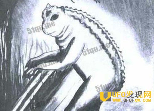 十大神秘生物怪兽档案