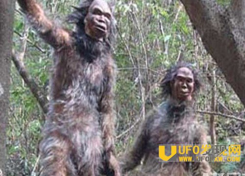 十大神秘生物怪兽档案