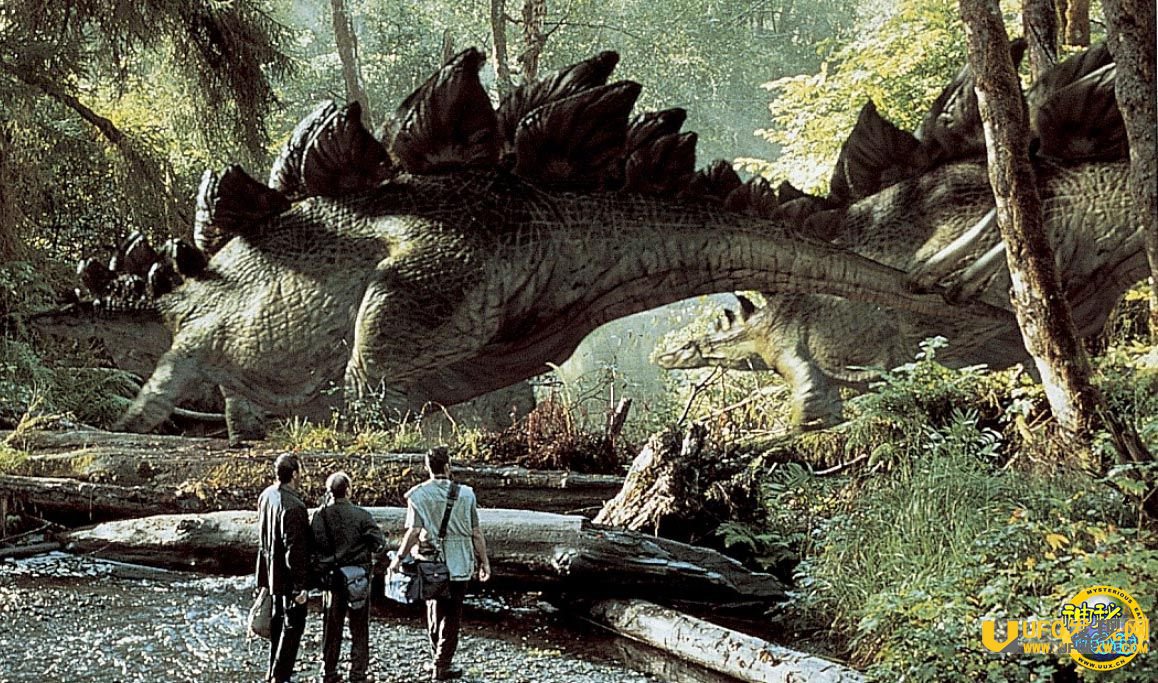 ٪�޼�����2�м�����