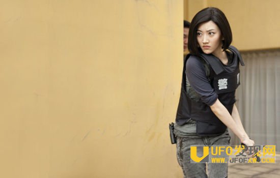 �����Ӧ������������