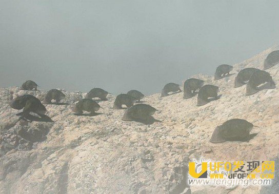 霍金发现了长毛外星人