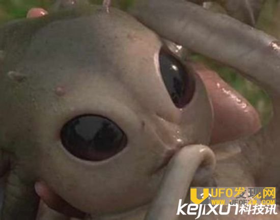 外星人真的存在吗?十大案例有图有真相!