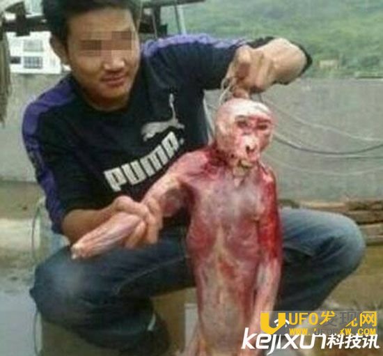科学家承认水猴子存在 长相狰狞所有人都吓坏了!