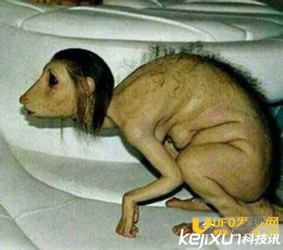 科学家承认水猴子存在 长相狰狞所有人都吓坏了!
