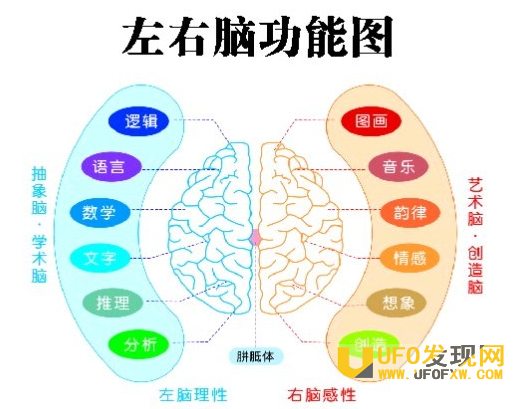 大脑的奥秘,科学揭秘人类大脑如何一心二用!