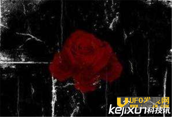 世界十大禁曲黑色星期五 全球有无数人因它而死