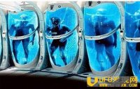 䶳ĿԸ?  ѧҵĻش߸֪