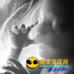 地球将变成人猿星球?令西方恐慌的"半兽人"试验